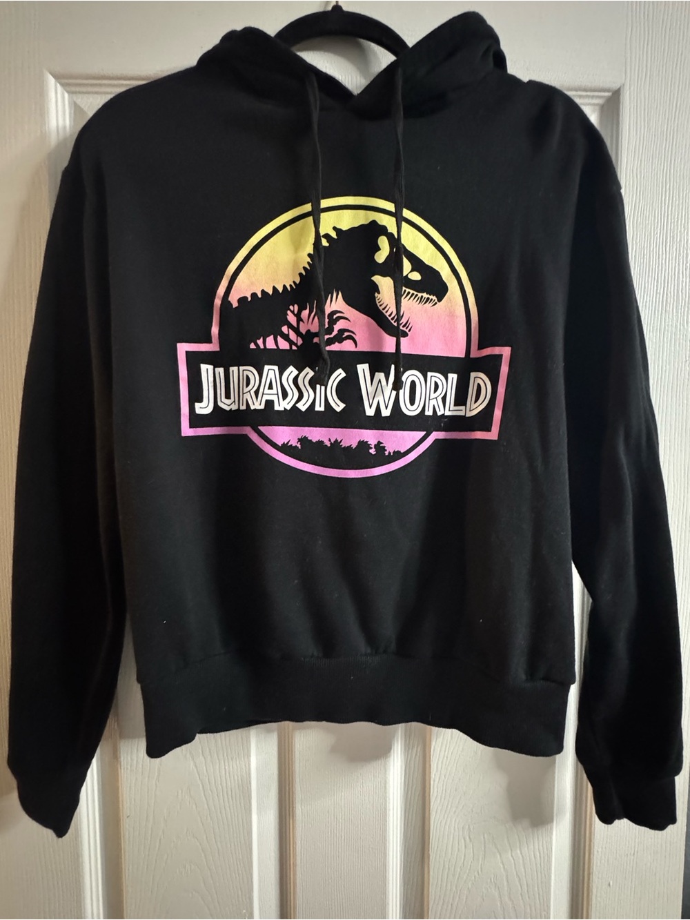 Jurassic World Black Hoodie with Gradient Logo